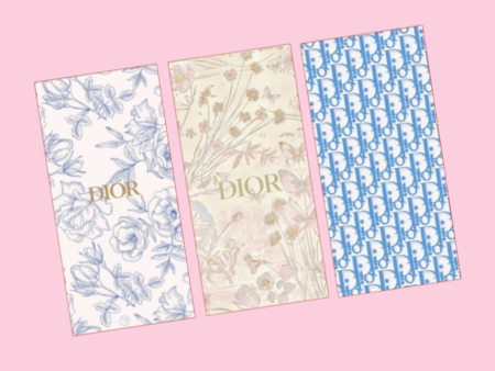 Cash Envelopes | Dior Blue | Set of 3 Discount