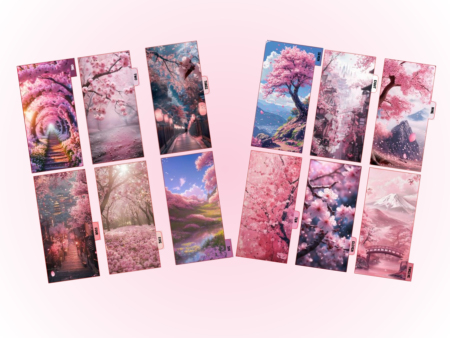 Cash Envelopes | Cherry Blossom | 12 Set Discount