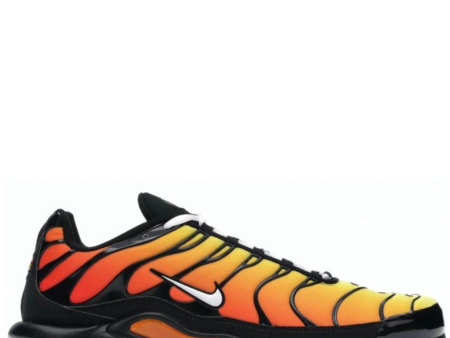 Air Max Plus TN Tiger For Sale