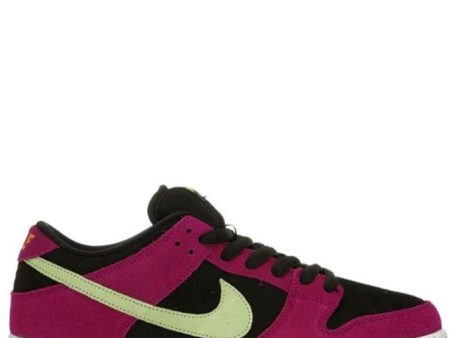 SB Dunk Low PRO ACG Terra Red Plum For Cheap