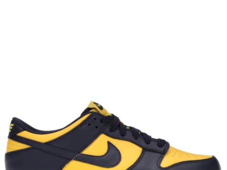 Dunk Low Michigan (GS) Hot on Sale