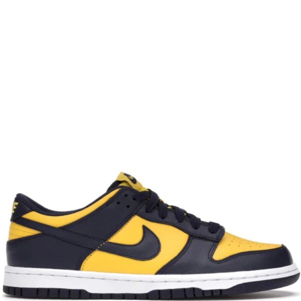 Dunk Low Michigan (GS) Hot on Sale