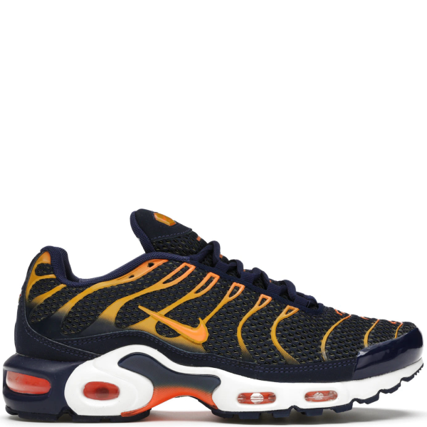 Air Max Plus TN Blue Void University Gold For Discount